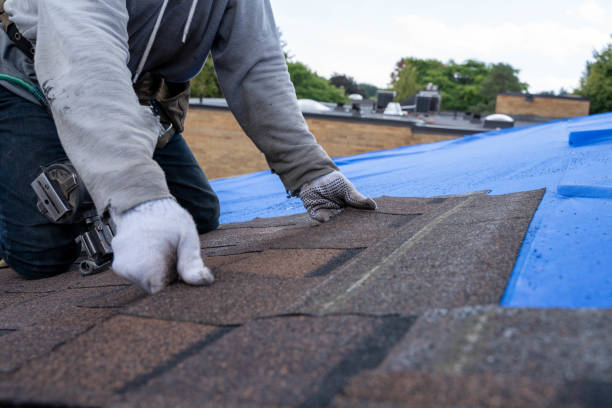 Professional Roofing Contractor in Huntersville, NC